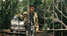 a man standing in front of a gate with a car parked behind it and trees around him