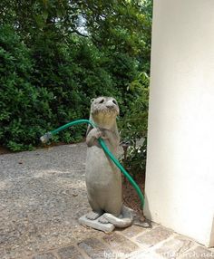 a statue of a seal holding a hose