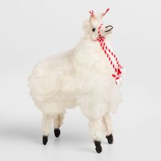 a white llama with a red ribbon on its neck