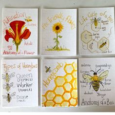 six bees and flowers are shown on four different cards, each with their own name