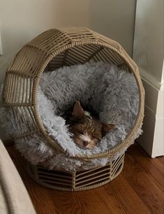 a small dog laying in a pet bed