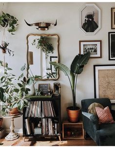 a living room filled with lots of plants and pictures