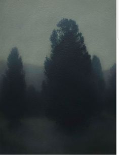 an image of trees in the fog on a dark day with no one around them