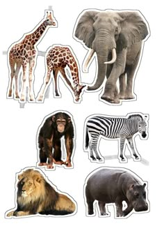 an image of animals that are in the shape of stickers on a white background