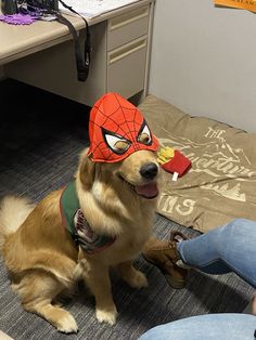 a dog wearing a spider man mask sitting on the floor next to a person's feet