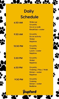 a yellow and black dog paw print with the words daily schedule on it's side