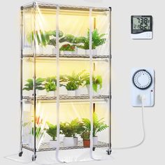 an indoor hydroponant system with plants growing in it and thermostaer next to it