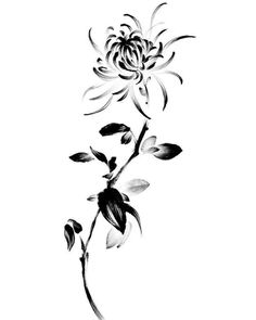 Tokyo Ghoul Flower, Crisantemo Tattoo, Flower Tattoo Stencils, Tattoo Portfolio, Spine Tattoos, Flower Tattoo Designs