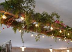 the lights are hanging from the wooden beam in the room with plants growing on it