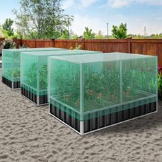 three glass containers with plants growing in them on the sand near a fence and trees