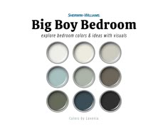 the color scheme for big boy bedroom is shown in black and white, with different colors