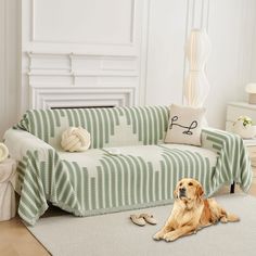 a dog laying on the floor in front of a couch with a green and white striped cover