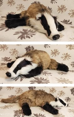 two pictures of a stuffed badger laying on top of a bed