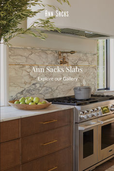 an advertisement for ann sacks stabs's explore our gallery, featuring green apples on the counter