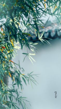 the branches of a tree with yellow and green leaves are shown in front of a gray background