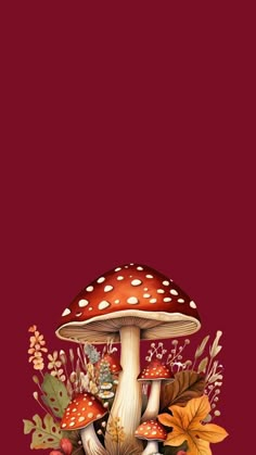 a red background with mushrooms and leaves