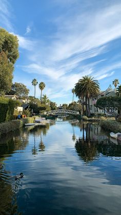 there is a boat that is going down the river in the day time, and palm trees are on the other side