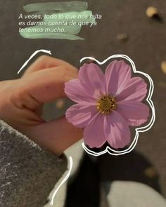 a person holding a pink flower in their hand