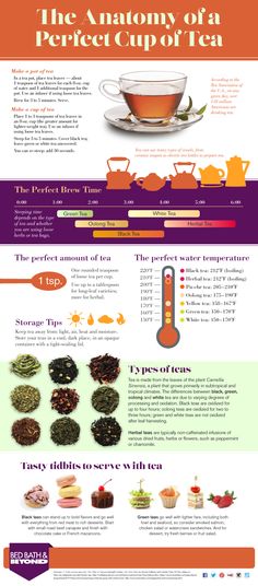 the anatomy of a perfect cup of tea infographical poster with images and text