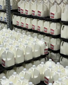 several rows of milk jugs on shelves in a store