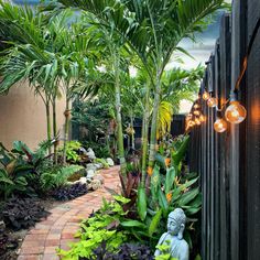 a garden with lots of plants and lights on the side of the fenced in area