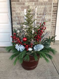 a potted plant with pine cones, berries and other greenery in front of a door