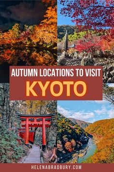 Find the best places to visit in Kyoto in autumn with this Kyoto fall foliage guide. From autumn temples to foliage hikes, these are the best autumn spots in Kyoto. | kyoto during fall | where to visit in kyoto autumn | kyoto japan photography autumn | japan fall kyoto | kyoto in the fall | kyoto in fall | kyoto autumn foliage | kyoto autumn leaves | kyoto autumn photography | autumn kyoto | where to go in kyoto in november | places to visit in kyoto in october | autumn leaves in kyoto Kyoto In Autumn, Japan In The Fall, Kyoto Japan Photography, Kyoto Autumn, Japan Autumn, Visit Kyoto, Paradise Falls, October Autumn, Photography Autumn