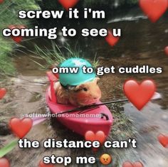 Cuddling Meme, Wholesome Pictures, Couple Memes, Cute Love Memes, Cute Texts For Him, I Love My Girlfriend, Cute Messages, Love My Boyfriend, Lovey Dovey