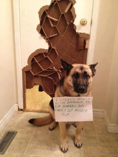 a dog holding a sign in front of a door