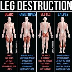 a poster showing the different types of leg destruction