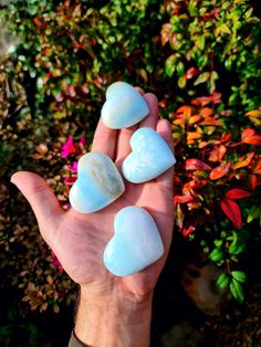 Length: ~42 - 55 mm Width  : ~45 - 55mm Thickness: 16 - 25mm The Price is for per Piece. . These Palm Stone/Pocket Crystals  are good to place near the bed, office,  car & in pocket to heal you constantly. Caribbean Calcite has really strong metaphysical & healing properties.  Healing with Caribbean Calcite: ♥ Relieves Stress  ♥ Heals Trauma Balance  ♥ Communication ♥ Harmony  ♥ Soul Searching  ♥ Bring Clarity Caribbean Blue Calcite activates one's mind which helps to channel their own unique ps Pocket Crystals, Mineral Properties, Crystal Healing Chart, Caribbean Calcite, Metaphysical Healing, Bed Office, Blue Calcite, Caribbean Blue, Soul Searching