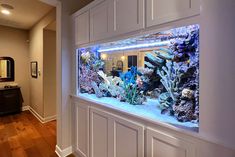 a fish tank in the corner of a room next to a mirror and door way