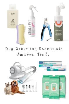 dog grooming essentials for amazing pets