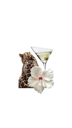 a white flower next to a martini glass with a leopard print design on the side