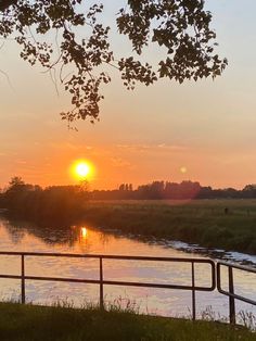 sun, sunny, sunset, summer, sun with water, ditch, river, june, ‘21, flowers, plants, grass, hot weather, garden, summersunset, goldenhour, field, sunshine River Reflection, Golden Hour Sunset, Living Room Entertainment Center, Morning Time, Water Aesthetic, Weather Seasons, Sunny Weather, Sunset Lover