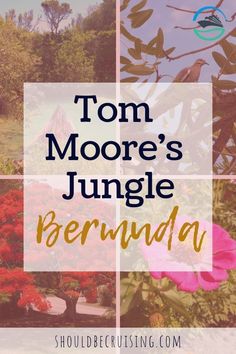 the words tom moore's jungle bermuda surrounded by images of flowers and trees in different colors