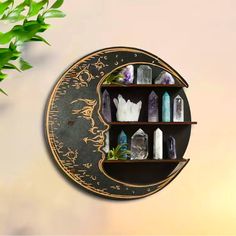 a wall clock with shelves filled with crystals and bottles on it's side, next to a potted plant