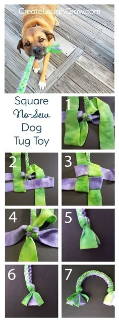 how to tie a dog's collar with ribbon