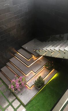 an aerial view of some steps and plants in the grass with lights shining on them