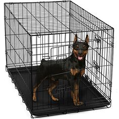 a black and brown dog in a metal cage