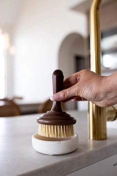 a person holding a brush on top of a counter