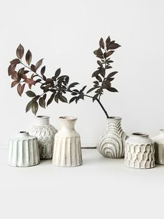 three white vases with plants in them on a table