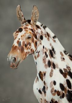 a giraffe with spots on it's head is shown in front of a gray background