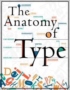 the anatomy of type in an illustrated book