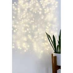 These curtain fairy lights delicate and bright resemble the twinkling of stars in the night sky. The Holiday Aisle® | The Holiday Aisle® 164' Indoor LED 480 - Bulb String Light 1.0 H x 164.0 W | 164" L | Wayfair Curtain Fairy Lights, Modern Farmhouse Bathroom Rug, Led Curtain, Bulb String Lights, Outdoor Christmas Lights, Tree Lighting, Lighting Sale, Game Room Furniture, Metal Wire