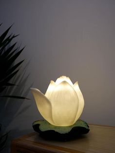 a large white flower sitting on top of a wooden table