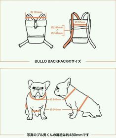 the instructions for how to use a dog harness