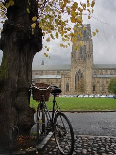 a bicycle parked next to a tree in front of a church