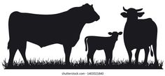 an image of cows and calfs in the grass silhouetted on a white background