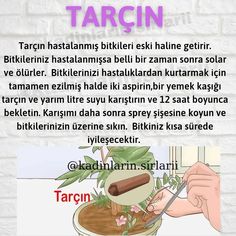 a person cutting into a potted plant in front of a brick wall with the words tarcin above it